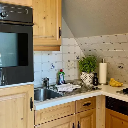 公寓 Haus Strandgut Fw 6 阿伦斯霍普